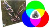 17 maja 1861 - Pierwsze trwałe zdjęcie kolorowe zrobione przez szkockiego fizyka Jamesa Clerka Maxwella