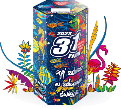 31. Finał WOŚP