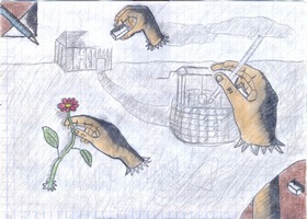 Zdjęcie: 6