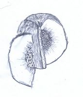 Zdjęcie: 5