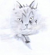 Powikszenie