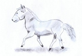 Powikszenie