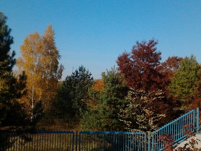 Zdjęcie: 2