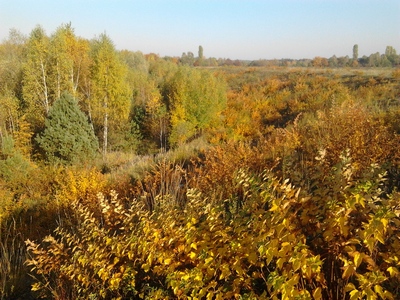 Zdjęcie: 15