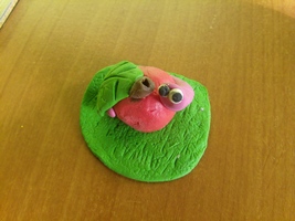 Zdjęcie: 8