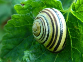Zdjęcie: 8