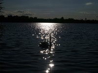 Powikszenie