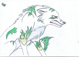 Powikszenie