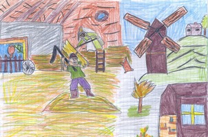 Zdjęcie: 16