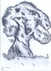Zdjęcie: 4