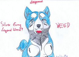 Powikszenie