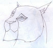 Powikszenie