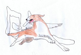 Powikszenie