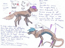 Powikszenie