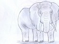 Powikszenie