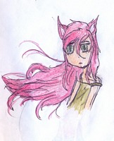 Zdjęcie: 16