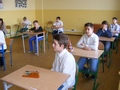 Zdjęcie: 8