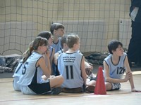Zdjęcie: 11
