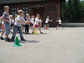 Zdjęcie: 54