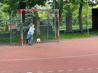 Zdjęcie: 5