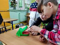 Zdjęcie: 11