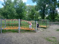 Zdjęcie: 79