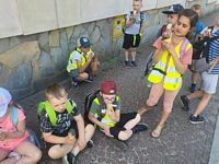 Zdjęcie: 16