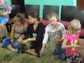 Zdjęcie: 10