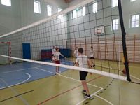Zdjęcie: 11