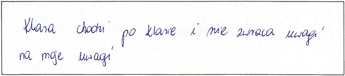 Zdjęcie: 13