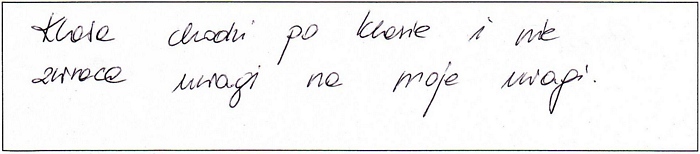Zdjęcie: 19