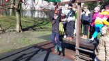 Zdjęcie: 21