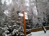 Zdjęcie: 44