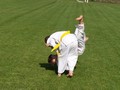 Zdjęcie: 55