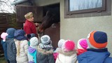 Zdjęcie: 12