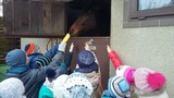 Zdjęcie: 14