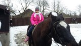 Zdjęcie: 18