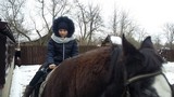 Zdjęcie: 24