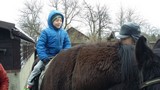 Zdjęcie: 32