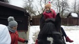 Zdjęcie: 33