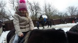 Zdjęcie: 38