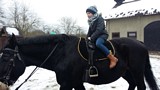 Zdjęcie: 49