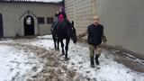 Zdjęcie: 51