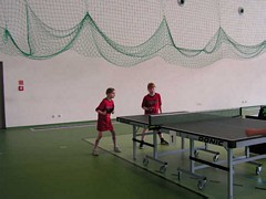 Zdjęcie: 7