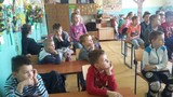 Zdjęcie: 1