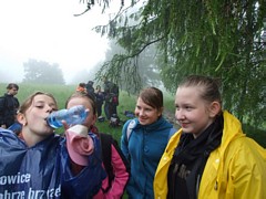 Zdjęcie: 17