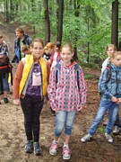 Zdjęcie: 32