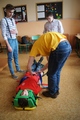 Zdjęcie: 1