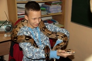 Zdjęcie: 91