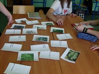 Zdjęcie: 11